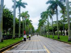 -白城沙滩