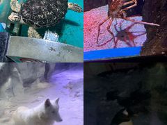 -正佳极地海洋世界