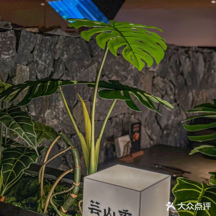 好吃的云南野生菌火锅 🔥遍广深来上海啦✈️✈️宝子们打卡去