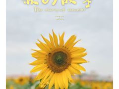 -映月湖中央公园