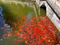 -国家植物园南园