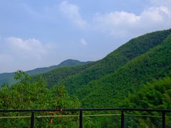 -莫干山风景区