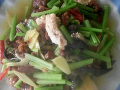 -杨记新泉美食