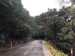 -广州市石门国家森林公园
