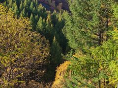 -苏木山森林公园