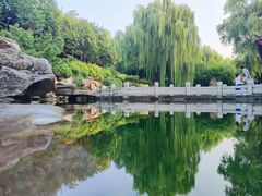 -趵突泉景区