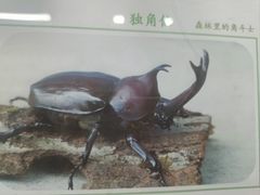 -万达广场(宜兴店)