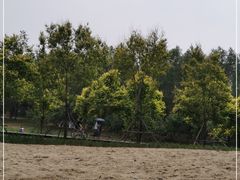 -东郊湿地公园