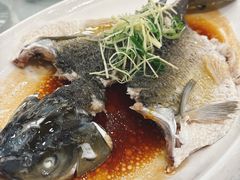 盐油蒸山坑皖鱼-寻味顺德·南记酒家·传统顺德菜·鱼生(广源路店)