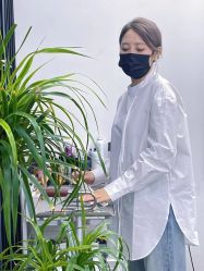 -蚂蚁造型俱乐部