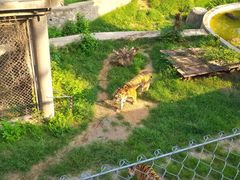 -石家庄市动物园