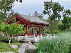 -西海子公园
