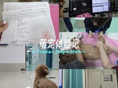 -北京观赏动物医院·24小时大型综合·猫专科·异宠专科