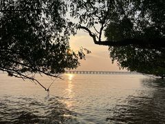 -宝安西湾红树林湿地公园