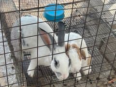 -新塘水果乐园(东洲大道店)