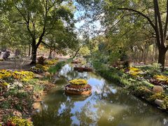 -上海共青森林公园