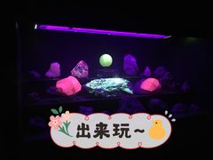 -中国地质大学逸夫博物馆