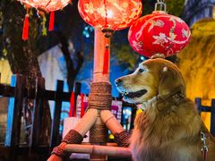 -横店影视城梦幻谷园区