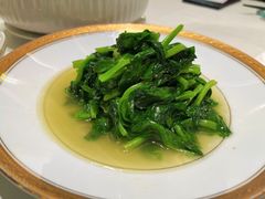 清炒豆苗-蝶园·装修中(BFC外滩金融中心店)