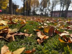 -商丘市人民公园