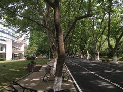 -同济大学（四平路校区）-图书馆
