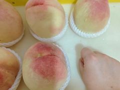 -老袁家蜜桃农场·阳山水蜜桃