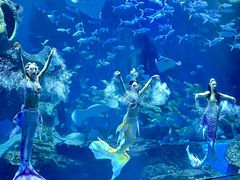 -多彩贵州城极地海洋世界