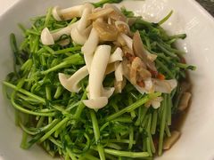 松茸菌豆苗-丰收日·小海鲜·沪上家宴(顾村正大店)