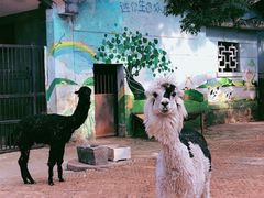 -昆明动物园