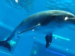 -日照世帆赛基地