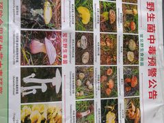 -易门野生菌府·菌海森林(月牙潭公园店)