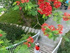 -广州市白云山风景名胜区