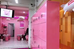 点击看大图 -时尚工厂·科学染发
