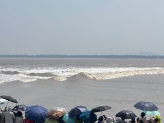 -观潮胜地公园