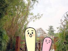 -桤木河湿地公园