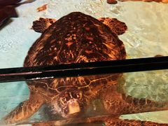 -波塞冬海底世界