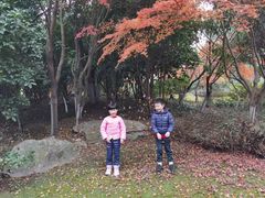 -桃花岛景观公园