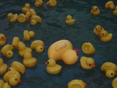 -苏州湾·王焰温泉