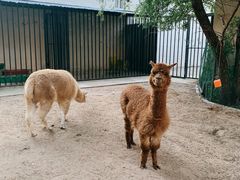 -沈阳市大东区海蓝花语幼儿园