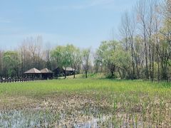 -溱湖国家湿地公园