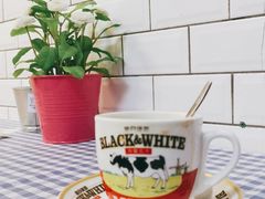 -赏饮·WILL TEA