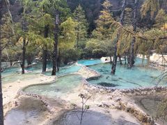 -黄龙山原始森林景区