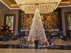 -长沙富力万达文华酒店