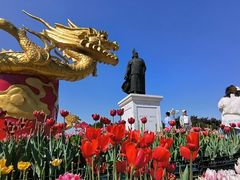 -北陵公园