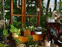 -北马山庄植趣咖啡