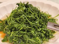 酒香金花菜-得月楼·省级非遗·传统苏帮菜(观前店)