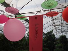 -广东花都香草世界旅游度假区