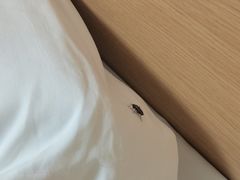 -7天酒店·北京学院路六道口地铁站店