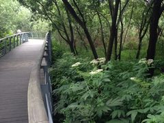 iphone_upload_pic-西湖风景区-江洋畈生态公园
