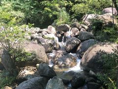 -大围山国家森林公园